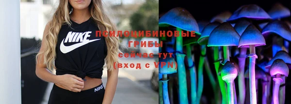 первитин Надым