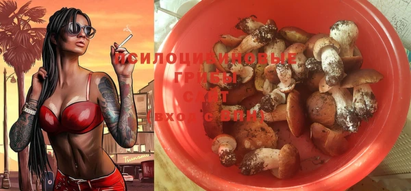 дурь Михайлов