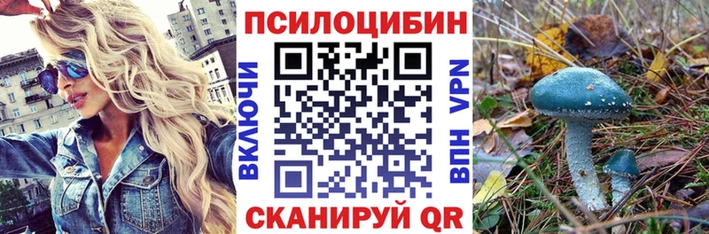 купить наркоту  Певек  Псилоцибиновые грибы MAGIC MUSHROOMS 